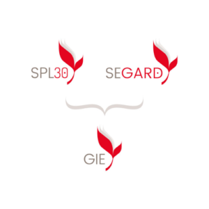 LOGO PV FURYGAN 2